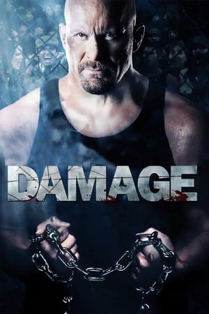 Damage 2009 Hindi Dual Audio 720p BluRay [970MB]