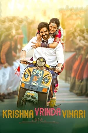 Krishna Vrinda Vihari (2022) (Hindi – Telugu) Dual Audio UnCut HDRip 720p – 480p